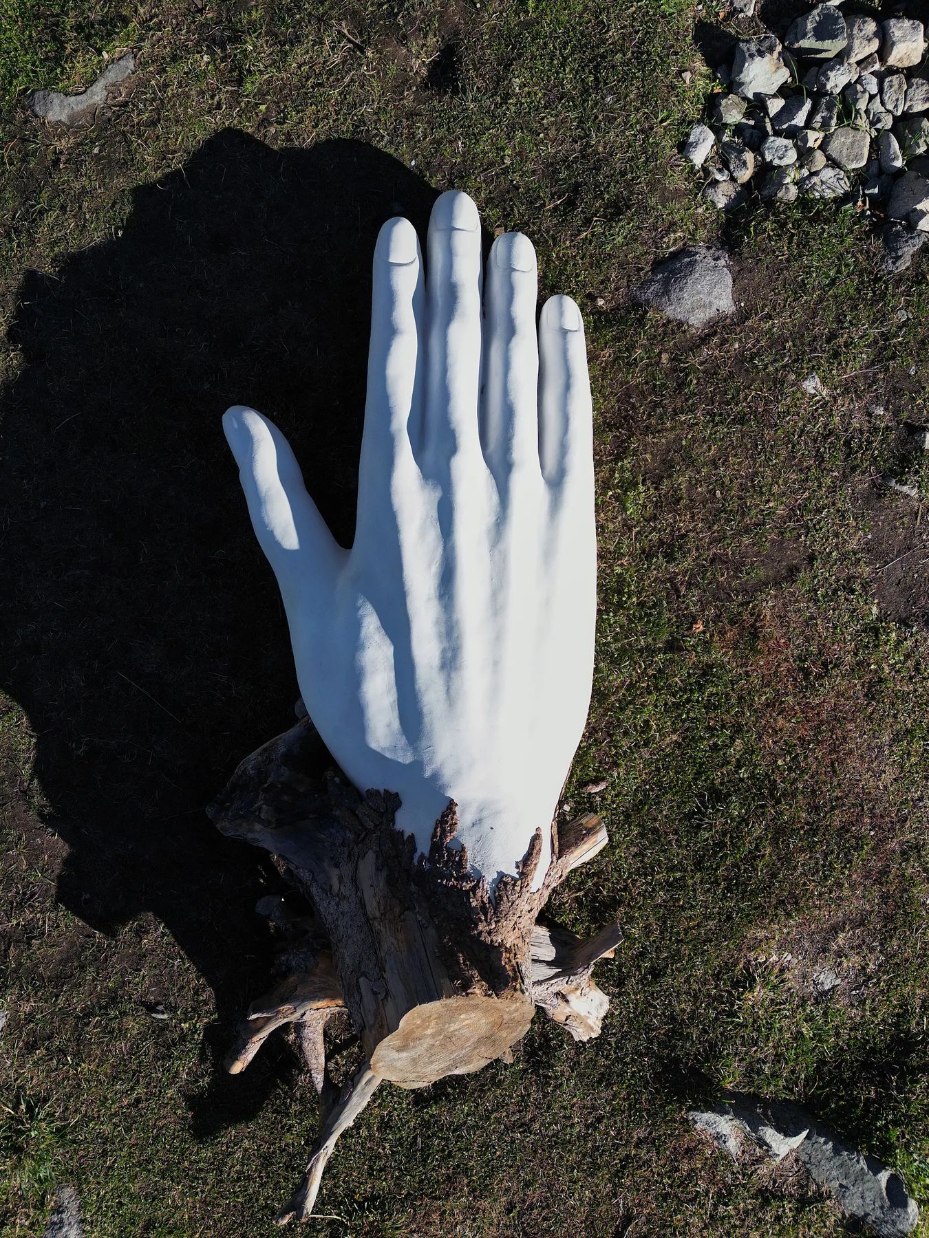 The Roots, фото 2